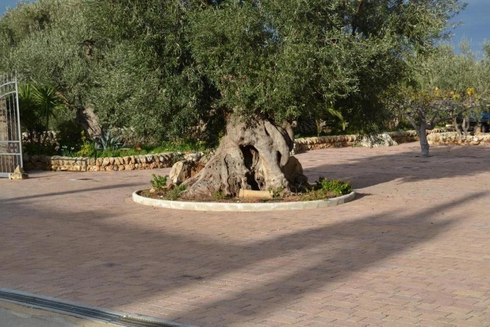 Masseria San Martino Pezze Di Greco Eksteriør bilde